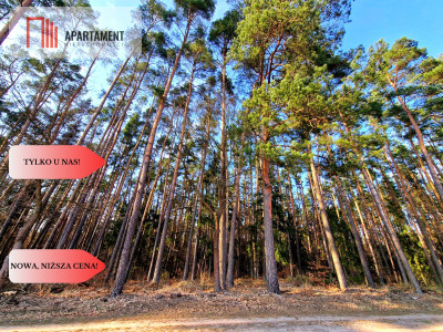 Działki budowlane 200m od rzeki Wdy Tylko u Nas - Wałkowiska  -
Kujawsko-Pomorskie Zdjęcie nr 8