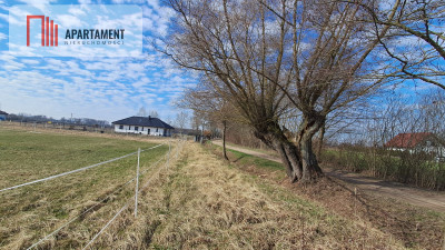 Działka budowlana 1317 m w Międzylesiu  Media - Międzylesie  -
Wielkopolskie Zdjęcie nr 2