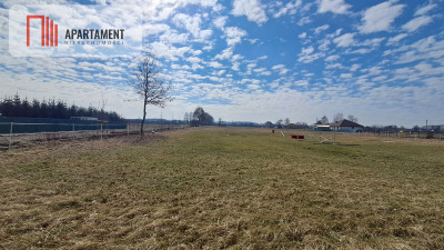 Działka budowlana 1317 m w Międzylesiu  Media - Międzylesie  -
Wielkopolskie Zdjęcie nr 6