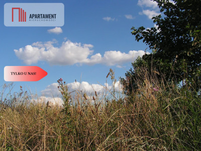 Osówka Kolonia - działka 674 mkw tanio - Osówka-Kolonia  -
Kujawsko-Pomorskie Zdjęcie nr 2