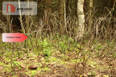 Osówka Kolonia - działka 674 mkw tanio - Osówka-Kolonia  -
Kujawsko-Pomorskie Zdjęcie nr 3