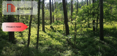 Osówka Kolonia - działka 674 mkw tanio - Osówka-Kolonia  -
Kujawsko-Pomorskie Zdjęcie nr 4