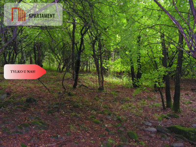 Osówka Kolonia - działka 674 mkw tanio - Osówka-Kolonia  -
Kujawsko-Pomorskie Zdjęcie nr 5