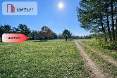 Działka z linią brzegową i własnym lasem - Ostroróg  -
Zachodniopomorskie Zdjęcie nr 2