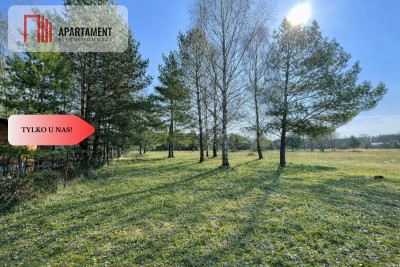 Działka z linią brzegową i własnym lasem - Ostroróg  -
Zachodniopomorskie Zdjęcie nr 3