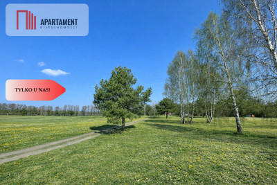 Działka z linią brzegową i własnym lasem - Ostroróg  -
Zachodniopomorskie Zdjęcie nr 4