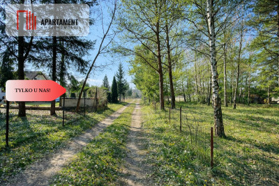 Działka z linią brzegową i własnym lasem - Ostroróg  -
Zachodniopomorskie Zdjęcie nr 5