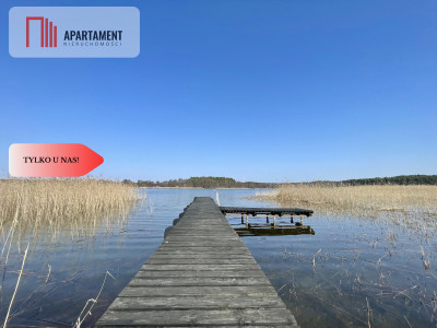 Działka z linią brzegową i własnym lasem - Ostroróg  -
Zachodniopomorskie Zdjęcie nr 7