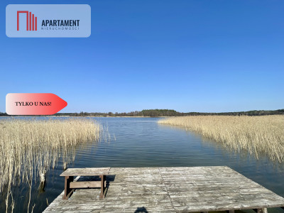 Działka z linią brzegową i własnym lasem - Ostroróg  -
Zachodniopomorskie Zdjęcie nr 8