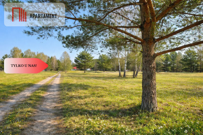 Działka rekreacyjna blisko lasu i jeziora - Ostroróg  -
Zachodniopomorskie Zdjęcie nr 2