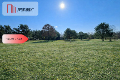 Działka rekreacyjna blisko lasu i jeziora - Ostroróg  -
Zachodniopomorskie Zdjęcie nr 4