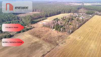 Ładne działki z warunkami zabudowy w dobrej cenie - Błądzim  -
Kujawsko-Pomorskie Zdjęcie nr 10