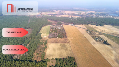 Ładne działki z warunkami zabudowy w dobrej cenie - Błądzim  -
Kujawsko-Pomorskie Zdjęcie nr 11