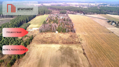 Ładne działki z warunkami zabudowy w dobrej cenie - Błądzim  -
Kujawsko-Pomorskie Zdjęcie nr 13