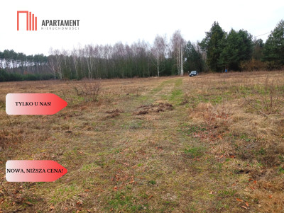 Ładne działki z warunkami zabudowy w dobrej cenie - Błądzim  -
Kujawsko-Pomorskie Zdjęcie nr 2