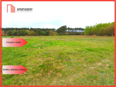 Ładne działki z warunkami zabudowy w dobrej cenie - Błądzim  -
Kujawsko-Pomorskie Zdjęcie nr 3