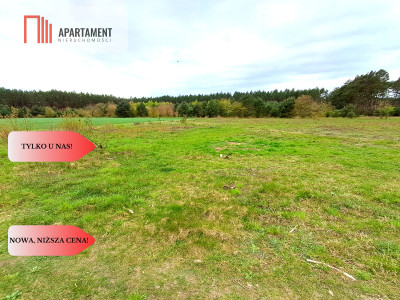 Ładne działki z warunkami zabudowy w dobrej cenie - Błądzim  -
Kujawsko-Pomorskie Zdjęcie nr 4