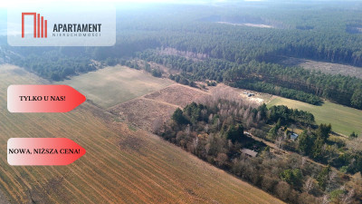 Ładne działki z warunkami zabudowy w dobrej cenie - Błądzim  -
Kujawsko-Pomorskie Zdjęcie nr 9