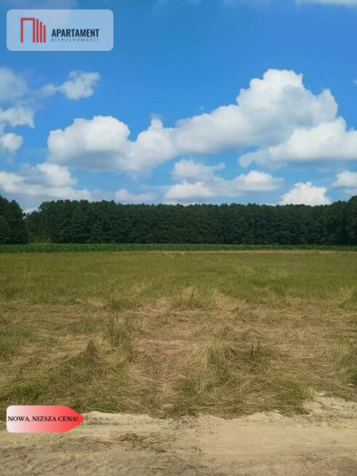 Piękna działka na Mazurach  500m do jeziora - Jerzwałd  -
Warmińsko-Mazurskie Zdjęcie nr 3