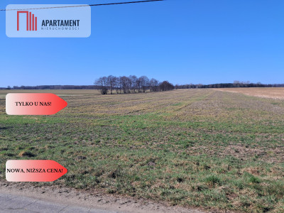 DZIAŁKI MIESZKANIOWO- USŁUGOWE - Wiktorówko  - Wielkopolskie