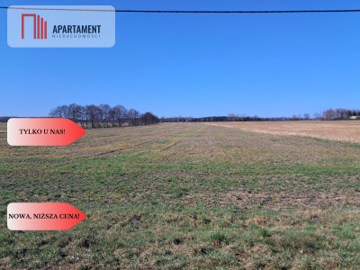 DZIAŁKI MIESZKANIOWO- USŁUGOWE - Wiktorówko  -
Wielkopolskie Zdjęcie nr 4