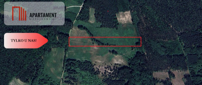 Grunt rolnysadpasiekalokata kapitałuprzestrzeń - Bukowice  -
Dolnośląskie Zdjęcie nr 5