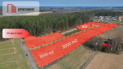 Działki przy lesie spokój i cisza - Sucumin  - Pomorskie