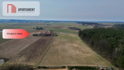 Działki przy lesie spokój i cisza - Sucumin  -
Pomorskie Zdjęcie nr 9