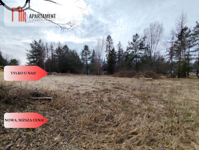 Duża działka nad jeziorem warunki zabudowy - Trzmielewo  -
Pomorskie Zdjęcie nr 11