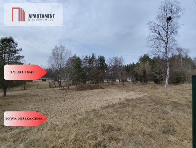 Duża działka nad jeziorem warunki zabudowy - Trzmielewo  -
Pomorskie Zdjęcie nr 13