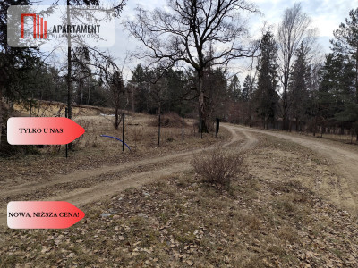 Duża działka nad jeziorem warunki zabudowy - Trzmielewo  -
Pomorskie Zdjęcie nr 9