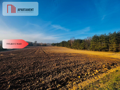 Działki budowlane Spokojna Okolica 43 zł za metr - Czarne Małe  - Pomorskie