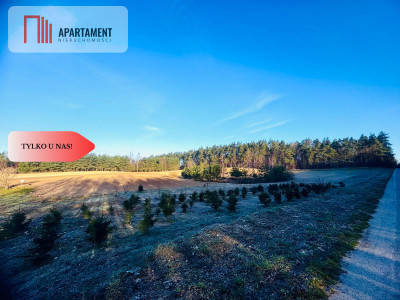 Działki budowlane Spokojna Okolica 43 zł za metr - Czarne Małe  -
Pomorskie Zdjęcie nr 2