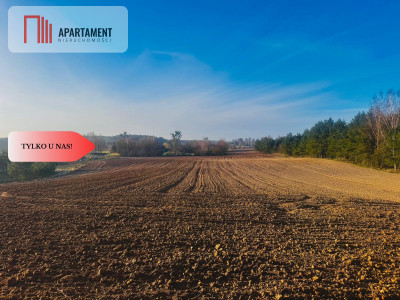 Działki budowlane Spokojna Okolica 43 zł za metr - Czarne Małe  -
Pomorskie Zdjęcie nr 3