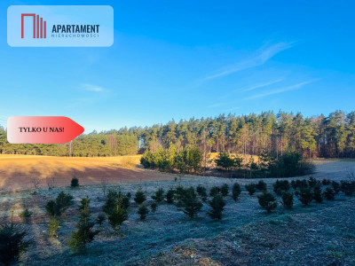 Działki budowlane Spokojna Okolica 43 zł za metr - Czarne Małe  -
Pomorskie Zdjęcie nr 4