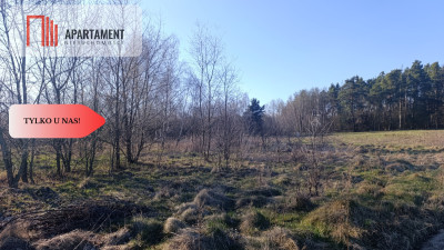 1200mDolina BaryczyNowe OsiedlemediaMPZ - Wszewilki  -
Dolnośląskie Zdjęcie nr 4