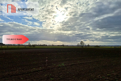 Działki pod zabudowę - Karpiny  - Pomorskie