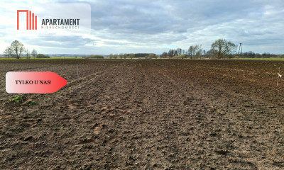 Działki pod zabudowę - Karpiny  -
Pomorskie Zdjęcie nr 2