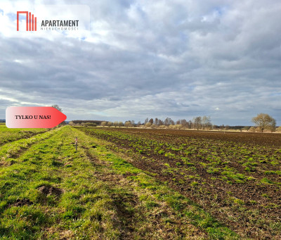 Działki pod zabudowę - Karpiny  -
Pomorskie Zdjęcie nr 3