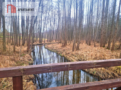 Działki w pobliżu rzeki Prusiny idealne pod dom - Śliwice  -
Kujawsko-Pomorskie Zdjęcie nr 10