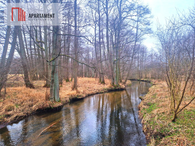 Działki w pobliżu rzeki Prusiny idealne pod dom - Śliwice  -
Kujawsko-Pomorskie Zdjęcie nr 11