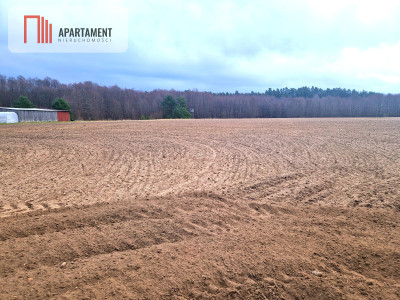 Działki w pobliżu rzeki Prusiny idealne pod dom - Śliwice  -
Kujawsko-Pomorskie Zdjęcie nr 4