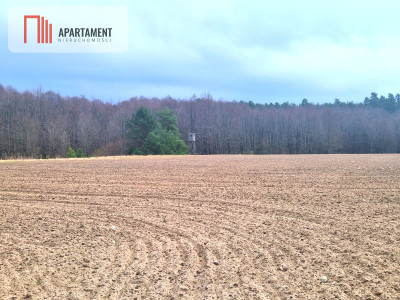 Działki w pobliżu rzeki Prusiny idealne pod dom - Śliwice  -
Kujawsko-Pomorskie Zdjęcie nr 5