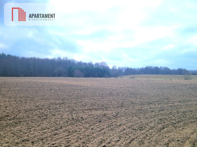 Działki w pobliżu rzeki Prusiny idealne pod dom - Śliwice  -
Kujawsko-Pomorskie Zdjęcie nr 6