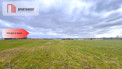 4 działki rekreacyjne 300m2 od jeziora - Rodowo Małe  -
Pomorskie Zdjęcie nr 3