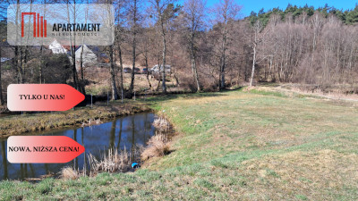 Duża Działka z domem w budowie z dostępem do rzeki - Płytnica  -
Wielkopolskie Zdjęcie nr 3