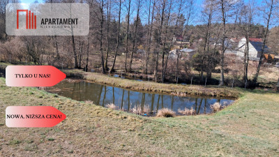 Duża Działka z domem w budowie z dostępem do rzeki - Płytnica  -
Wielkopolskie Zdjęcie nr 5