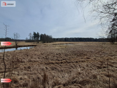 Działka 1140 ha przy lesie Nad rzeką Wdą-Smolniki - Smolniki  -
Pomorskie Zdjęcie nr 11