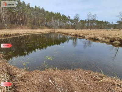 Działka 1140 ha przy lesie Nad rzeką Wdą-Smolniki - Smolniki  -
Pomorskie Zdjęcie nr 12