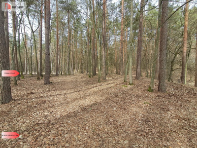 Działka 1140 ha przy lesie Nad rzeką Wdą-Smolniki - Smolniki  -
Pomorskie Zdjęcie nr 14